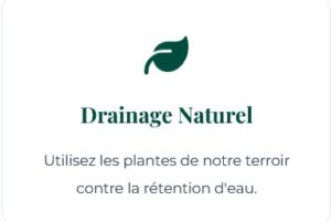 drainage-naturel-minceur-a-juvanescence